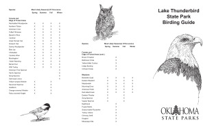 View Lake Thunderbird Birding Guide